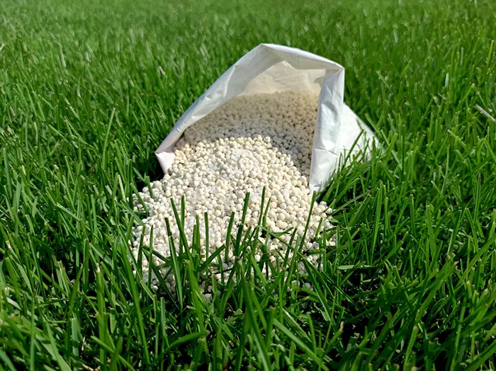 How Often Should You Fertilize Your Lawn Vista CA