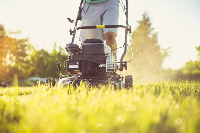 How to Mow A Lawn in Vista CA