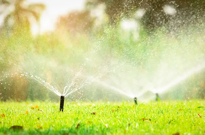 Lawn Irrigation