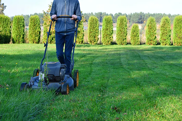 Lawn Mowing in Vista CA