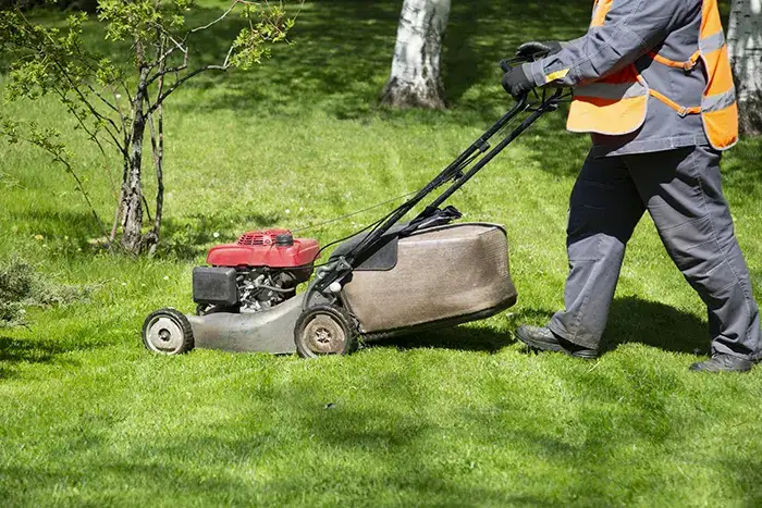 Lawn Mowing in Vista CA