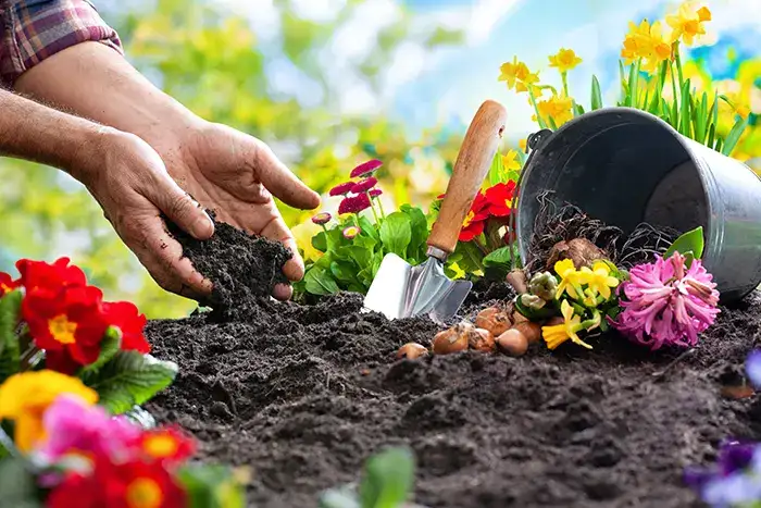 Mulching in Vista CA