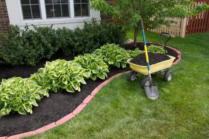 Mulching in Vista CA