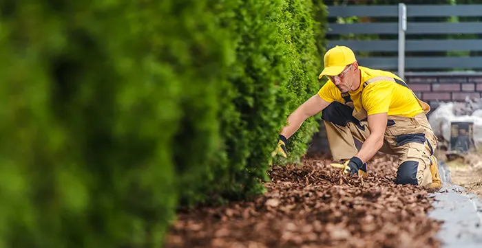 Mulching Service