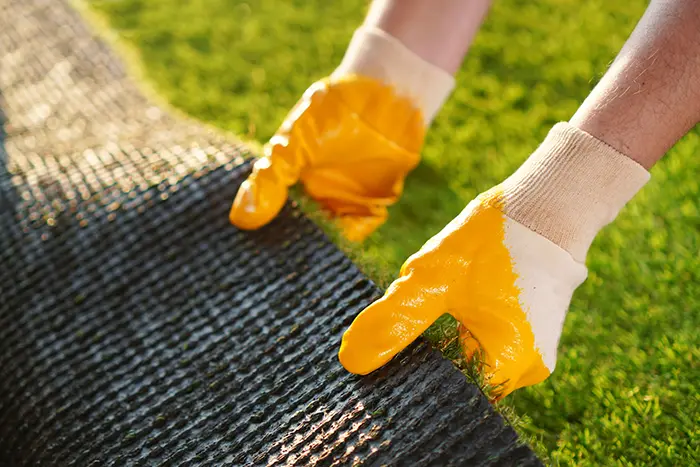 Sod Installation in Vista CA