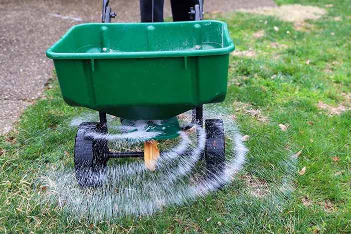 When is the best time to fertilize your lawn in Vista CA