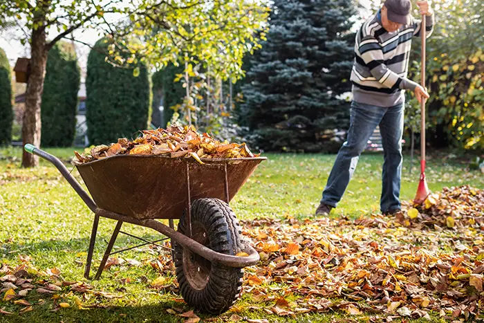 Yard Cleanup in Vista CA