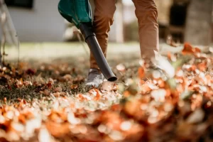 how to clean a backyard in Vista CA